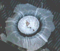 �}�Q�A�e���Ɛc���̊Ԃ̊�������ē����̐c���̌^������Ă���Ƃ���